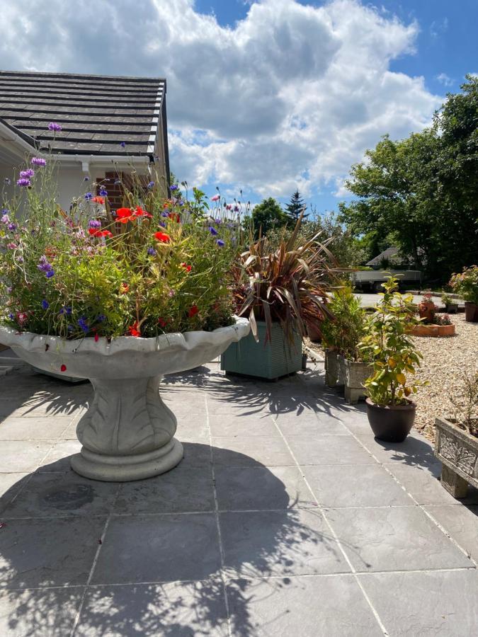 ביוד Toppesfield House B&B מראה חיצוני תמונה